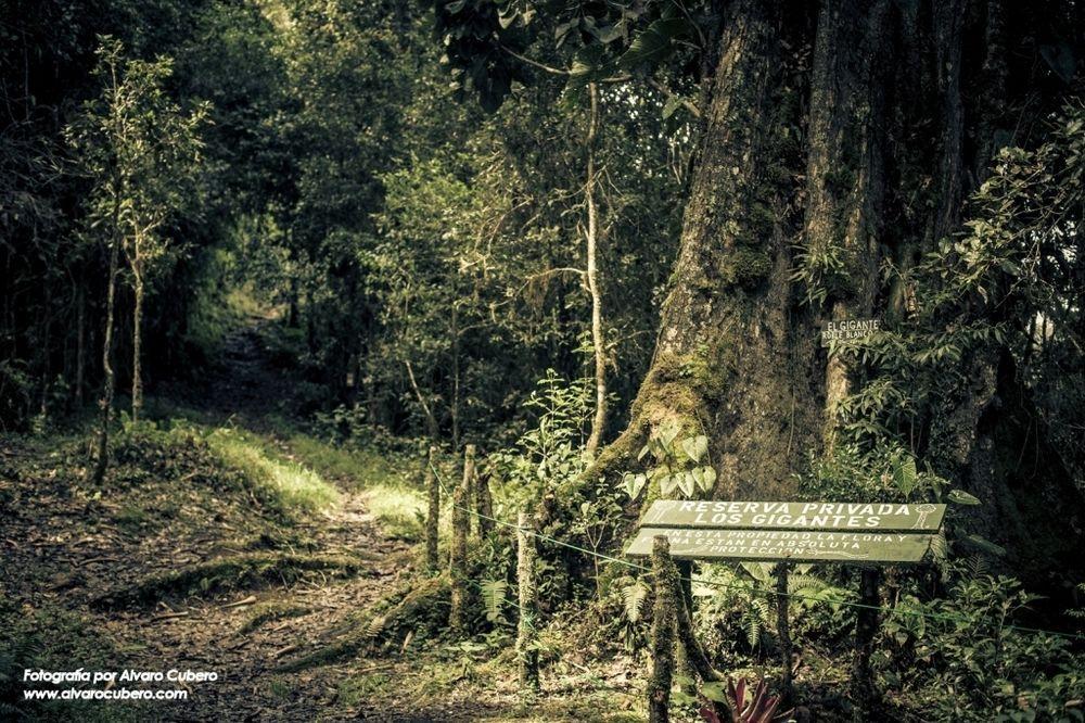 Paraiso Quetzal Lodge Tres de Junio Kültér fotó