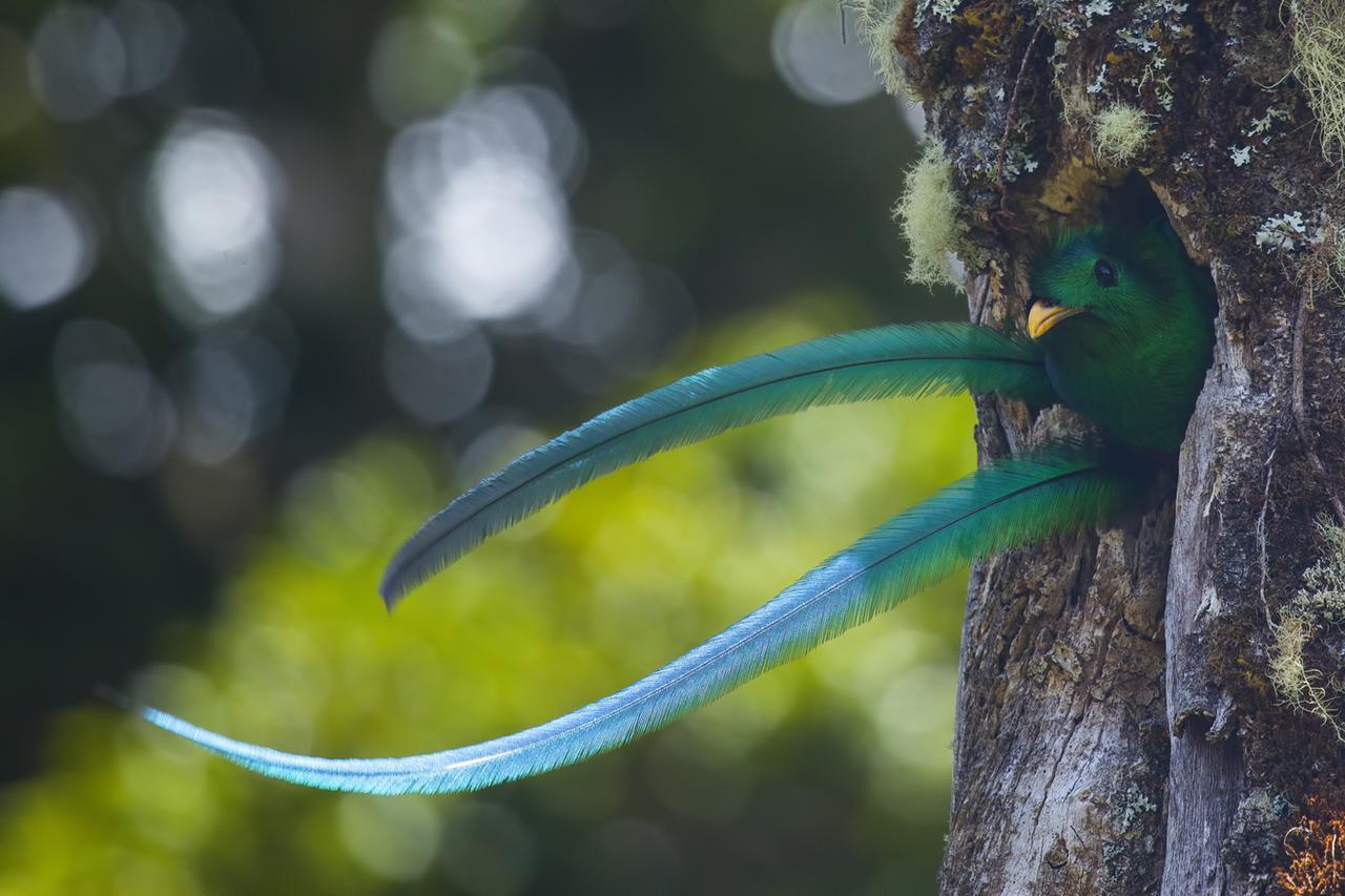 Paraiso Quetzal Lodge Tres de Junio Kültér fotó